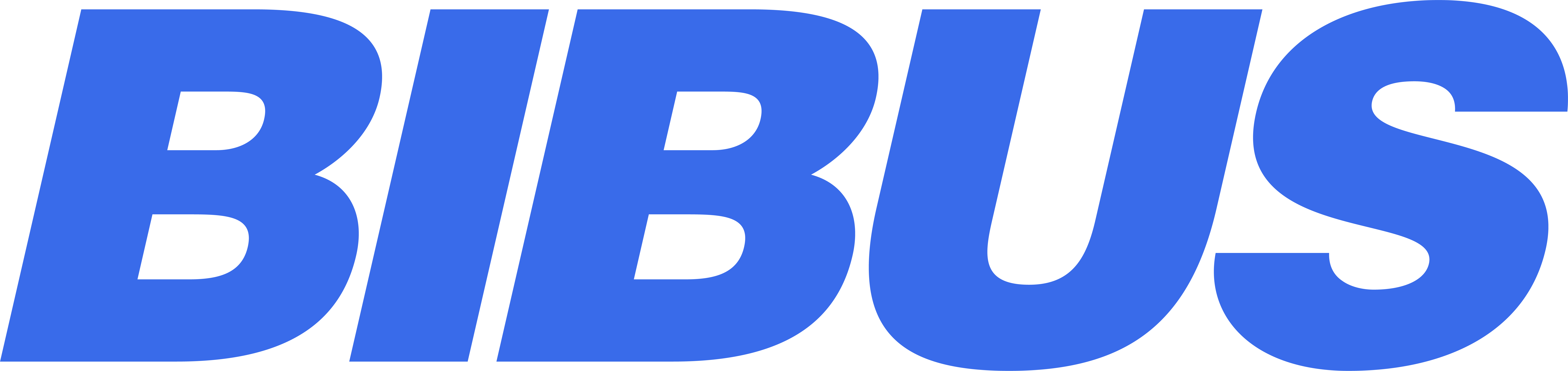 Logo BIBUS Spain